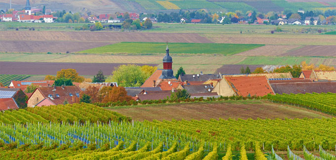 Kachel-weingut-2
